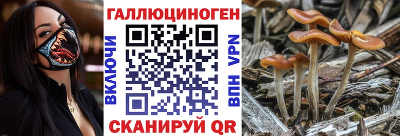 Псилоцибиновые грибы GOLDEN TEACHER Игра