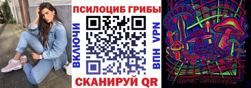MEGA ССЫЛКА  Игра  Псилоцибиновые грибы Psilocybe 